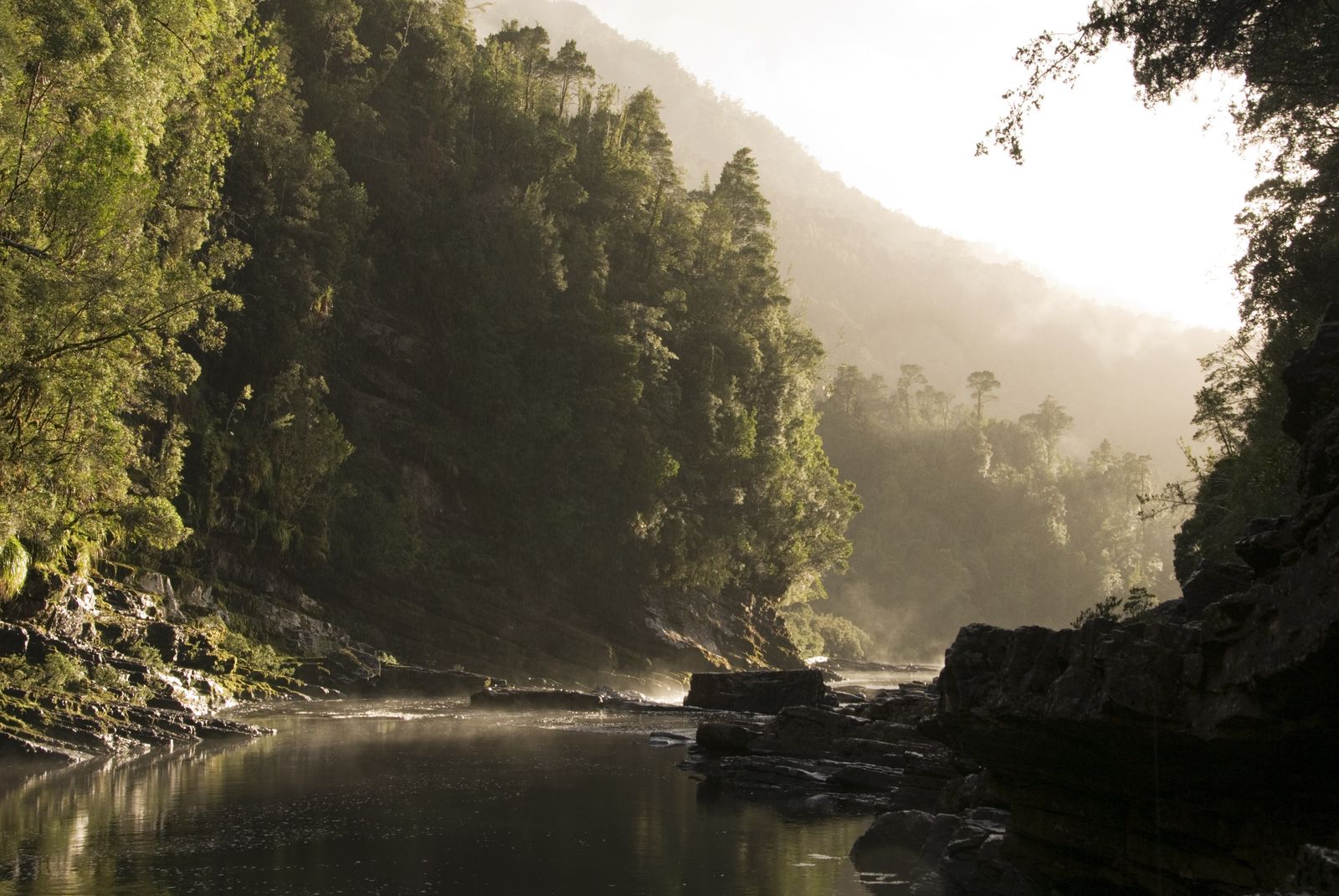 Franklin River saved: 40-year anniversary
