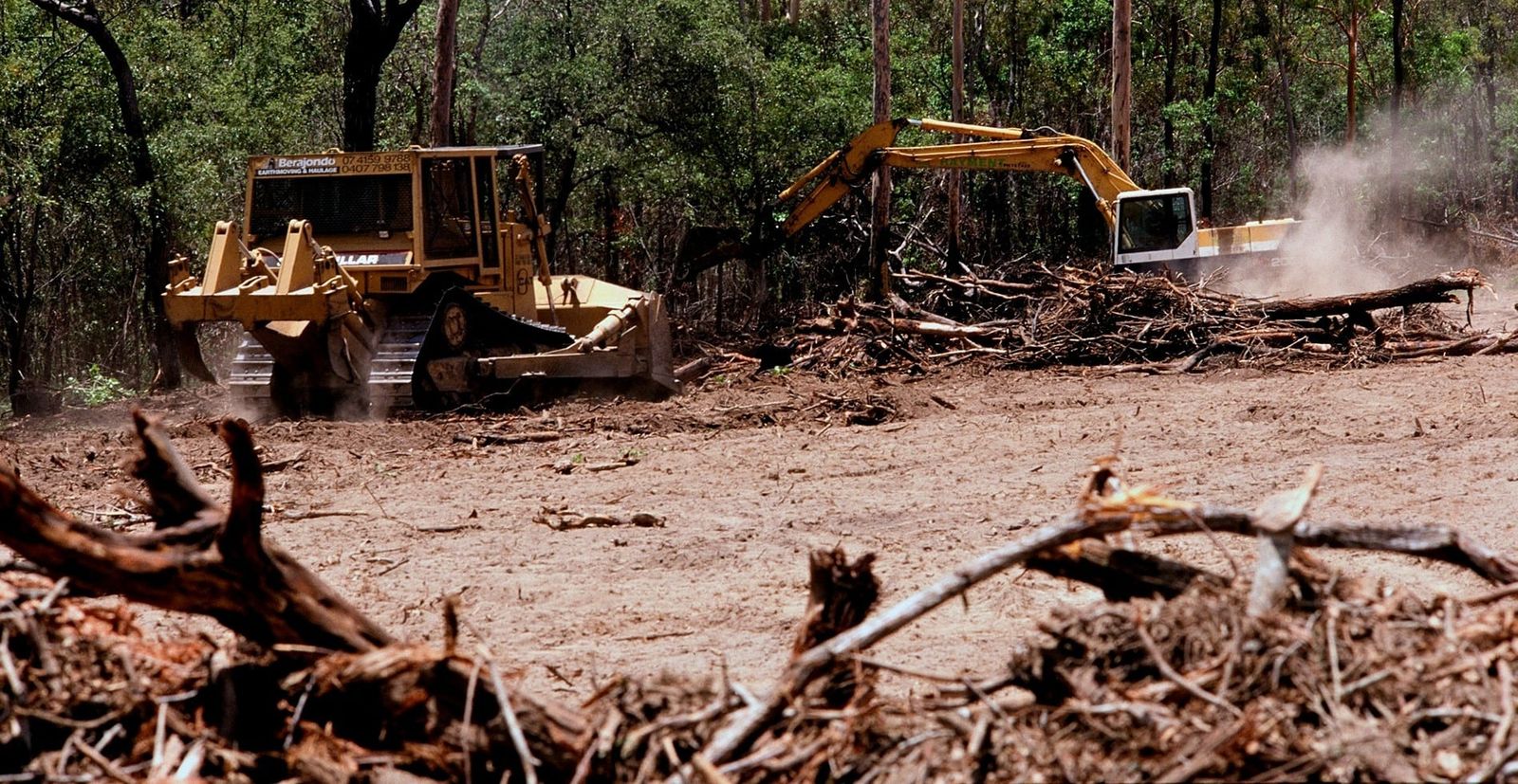 Deforestation in Queensland