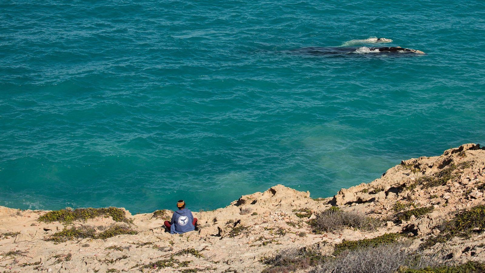 Great Australian Bight