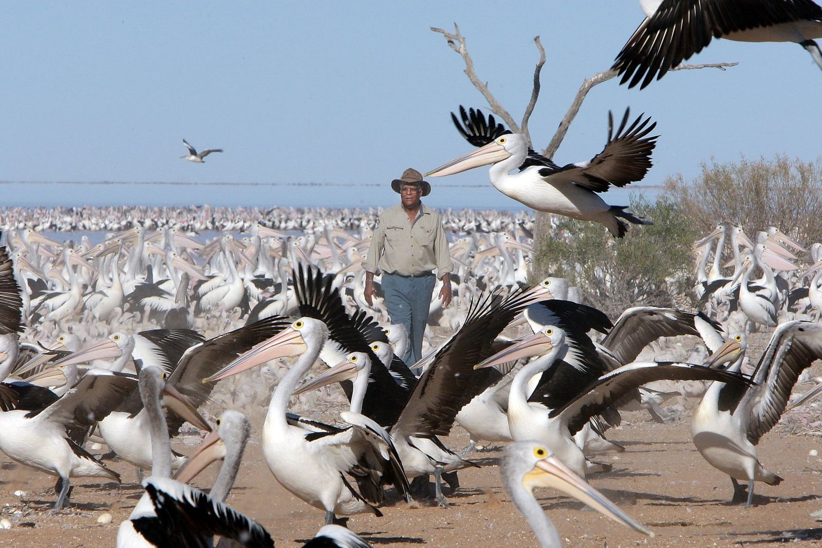 Lake Eyre Basin