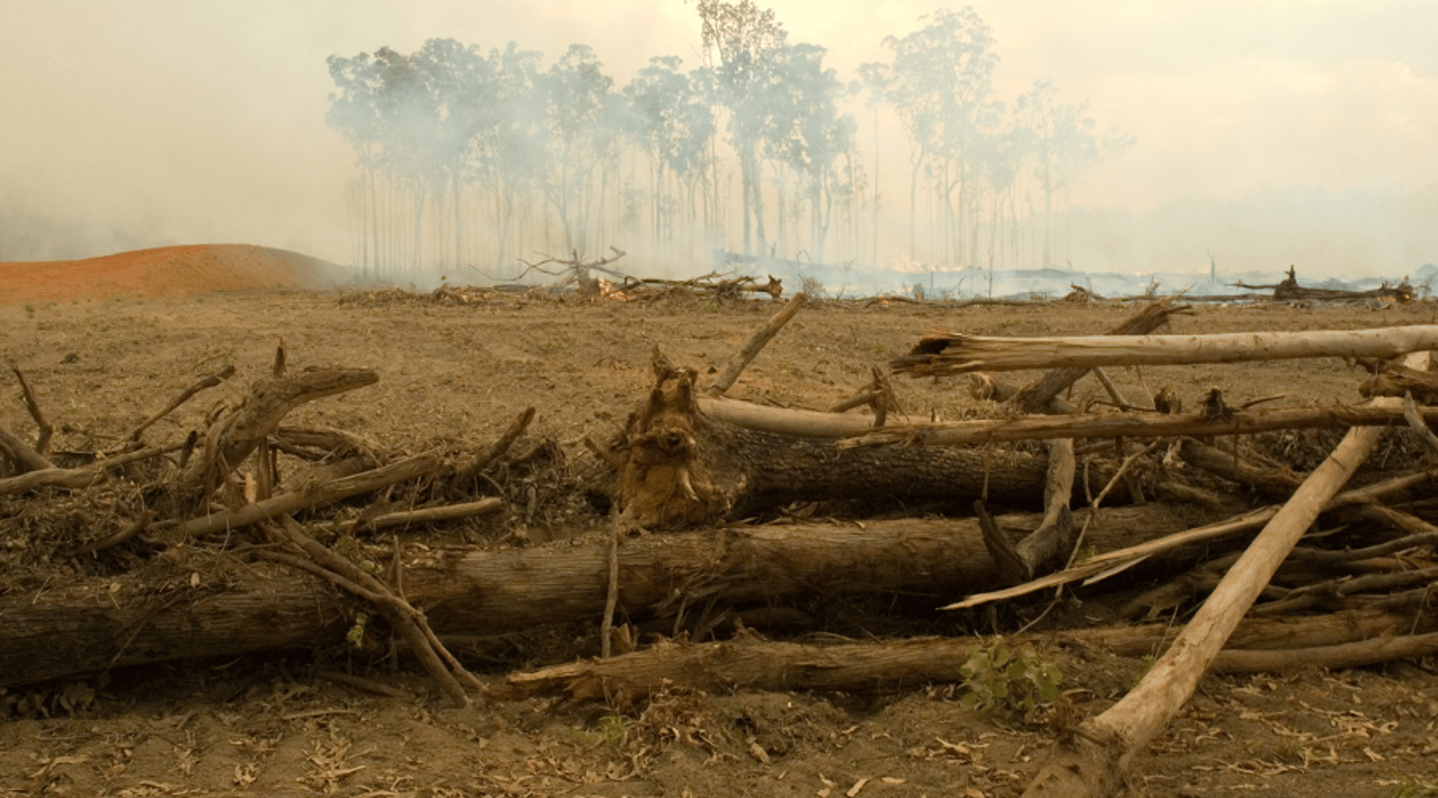 Queensland land clearing (SLATS) 2013-2018 report