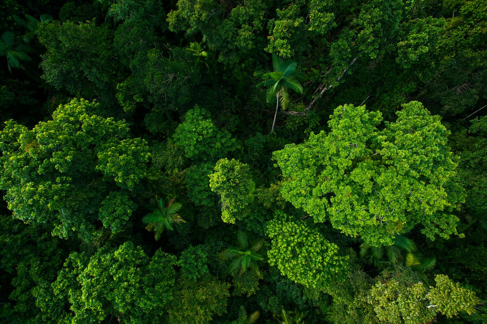 The Land Restoration Fund