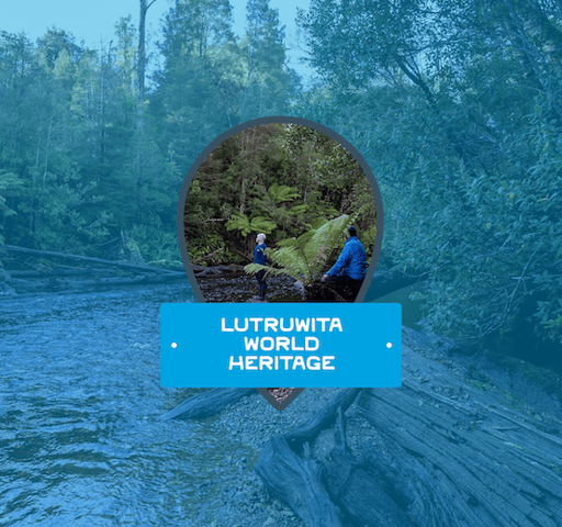 Lutruwita / Tasmania World Heritage