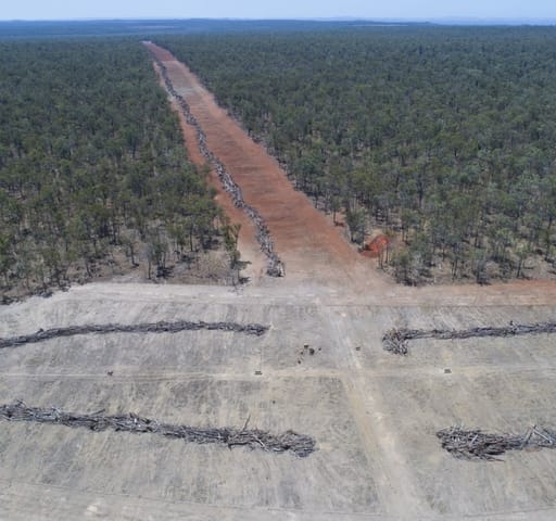 Deforestation: explained