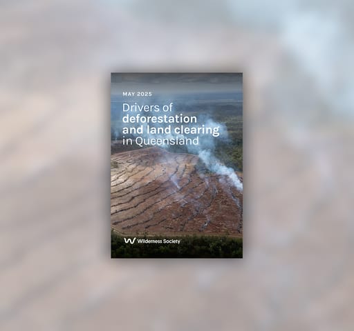 Australia is a deforestation hotspot. Queensland is the epicentre, with more than 1.7 million hectares of forest and bushland bulldozed since 2018.¹