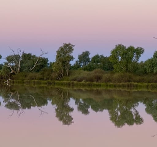 Coongie Lakes, Goyder Lagoon & Kallakoopah Creek