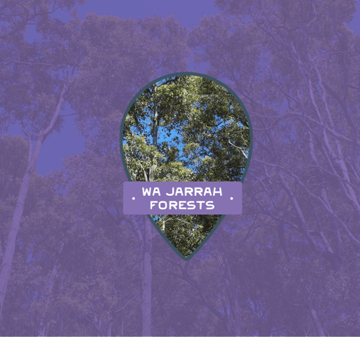 WA Jarrah Forests