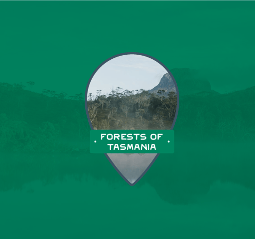 Forests of Lutruwita / Tasmania
