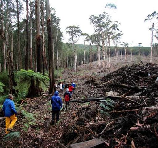 Biodiversity and the extinction crisis
