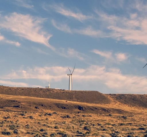 Renewable energy and the impacts on nature