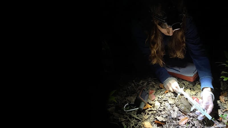 Wilderness Journal #007