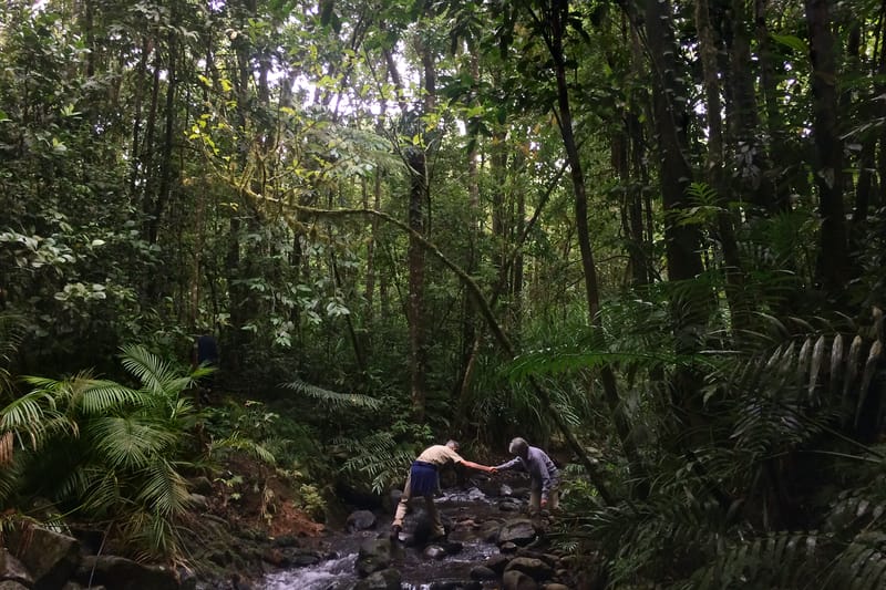 Wilderness Journal #036