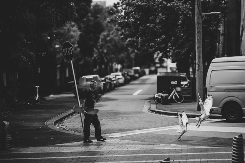 Wilderness Journal #044