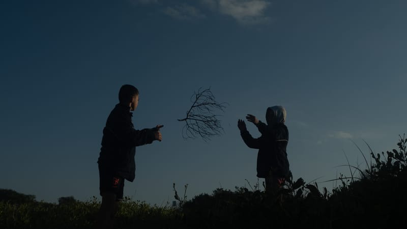 Wilderness Journal #013