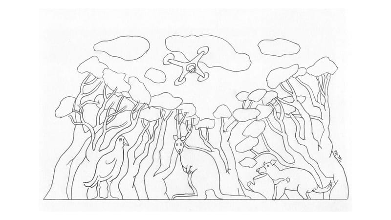 Wilderness Journal #011