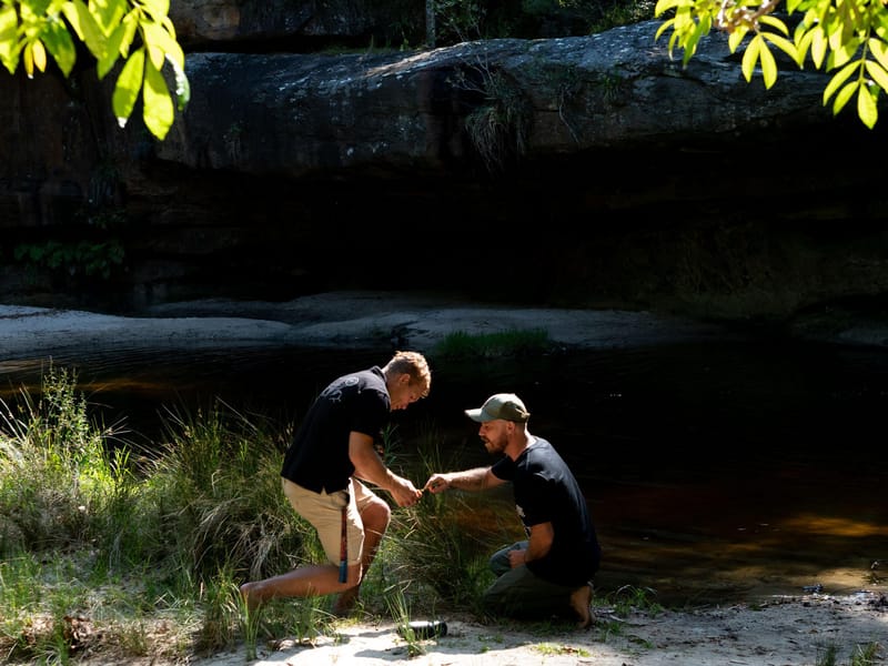 Wilderness Journal #005