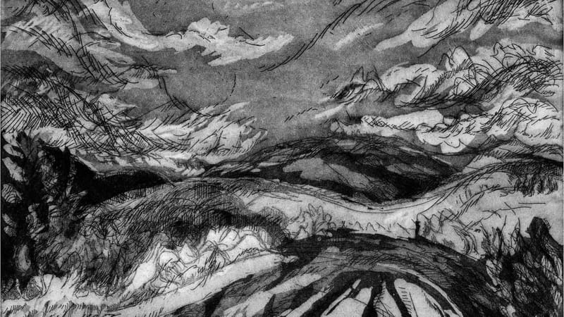 Wilderness Journal #010