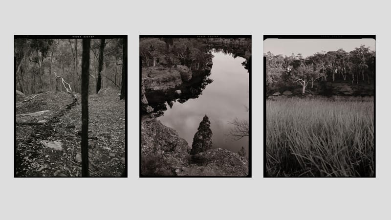 Wilderness Journal #014