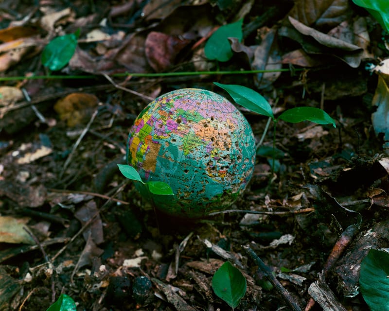 Wilderness Journal #017