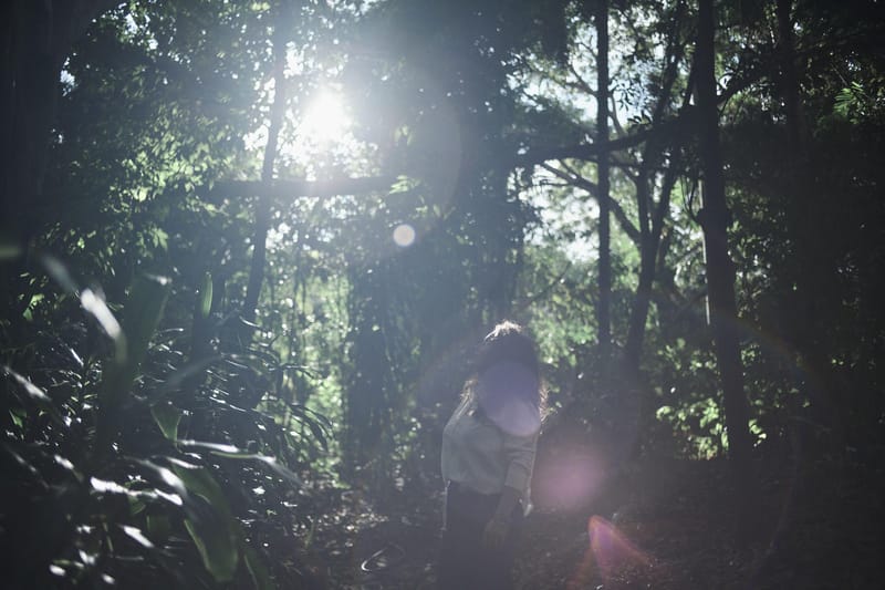Wilderness Journal #019