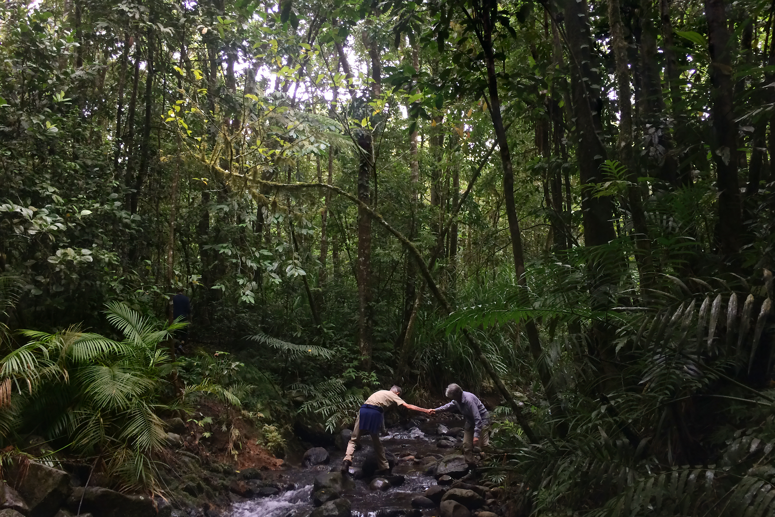 Wilderness Journal #036