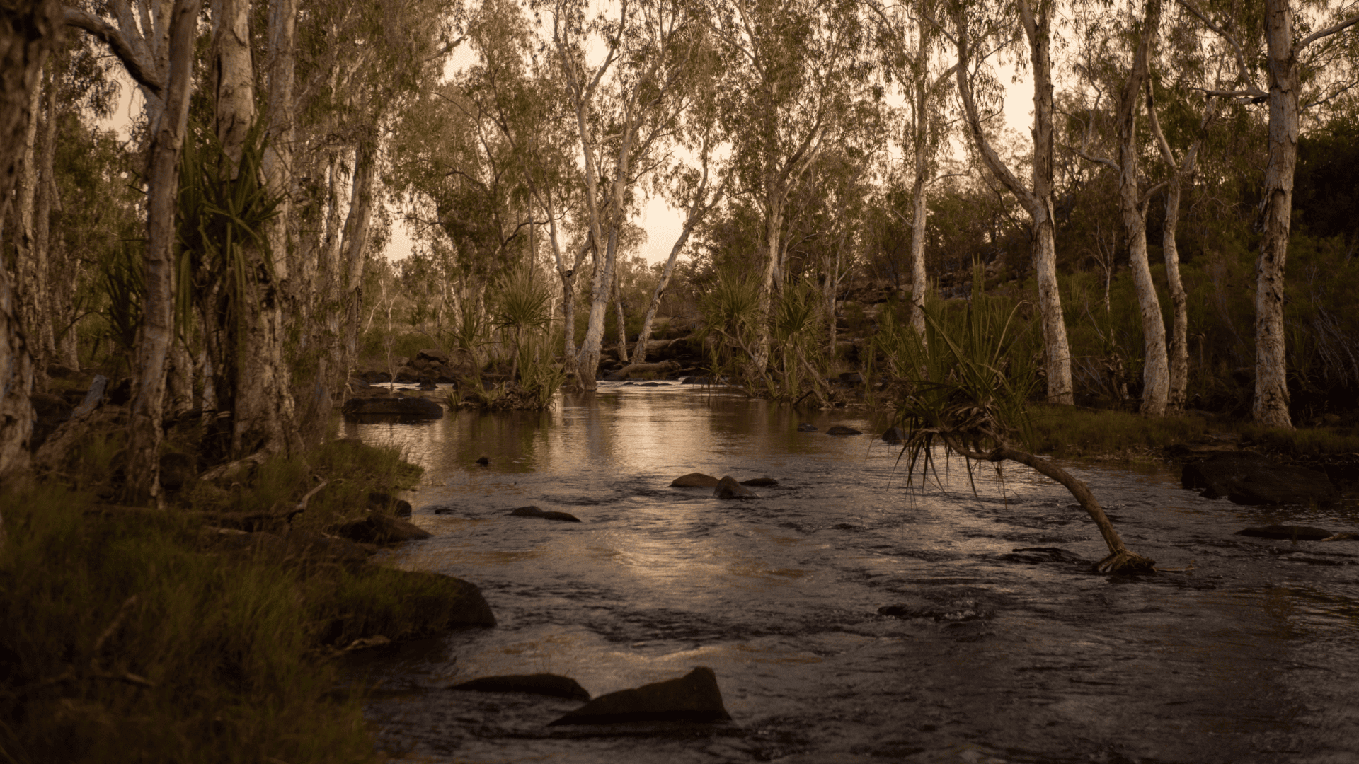 Wilderness Journal #035