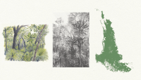 Wilderness Journal #021
