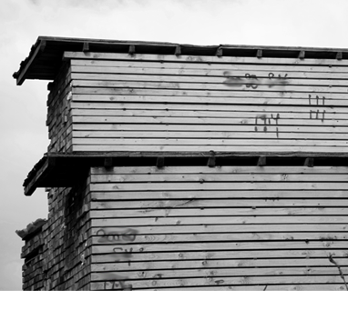 Timber