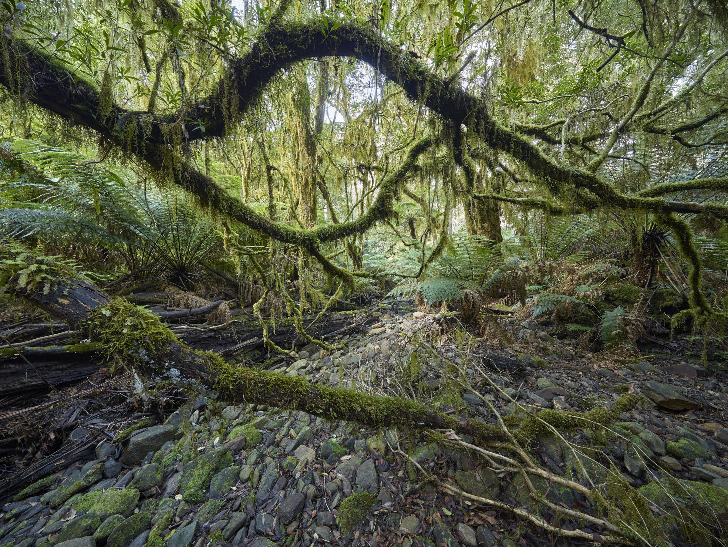 Unique ecosystems