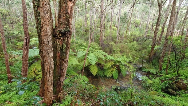Nature under threat