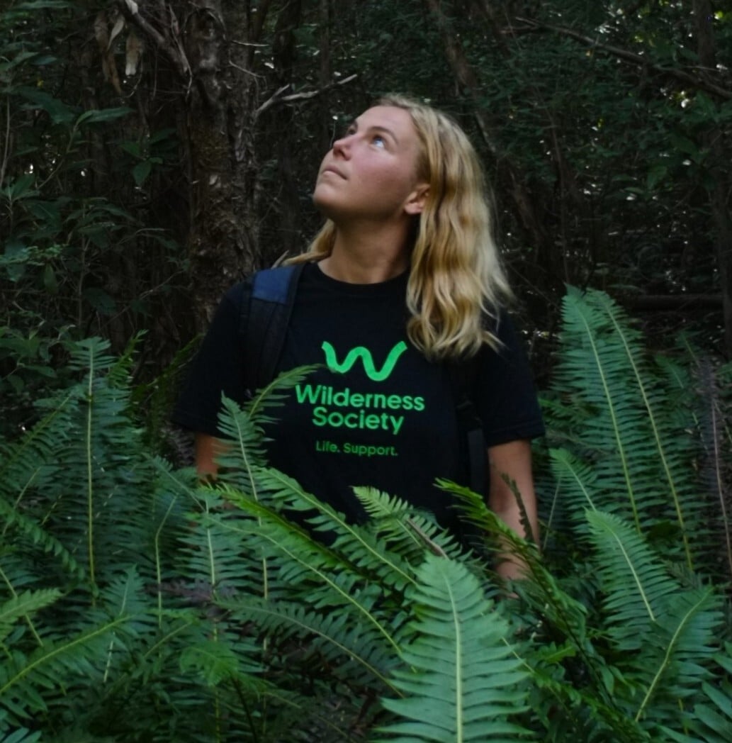 Power our work to protect forests