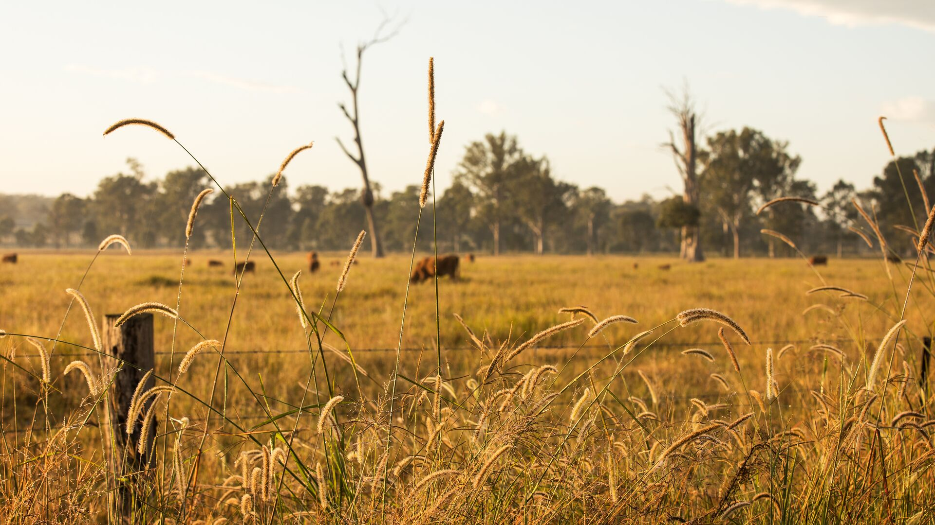 Addressing deforestation in supply chains