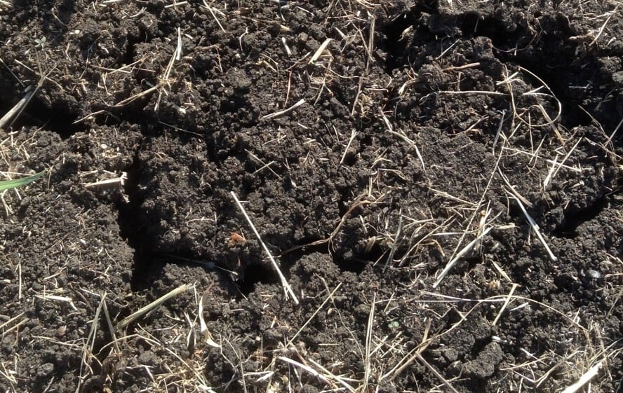 Soil