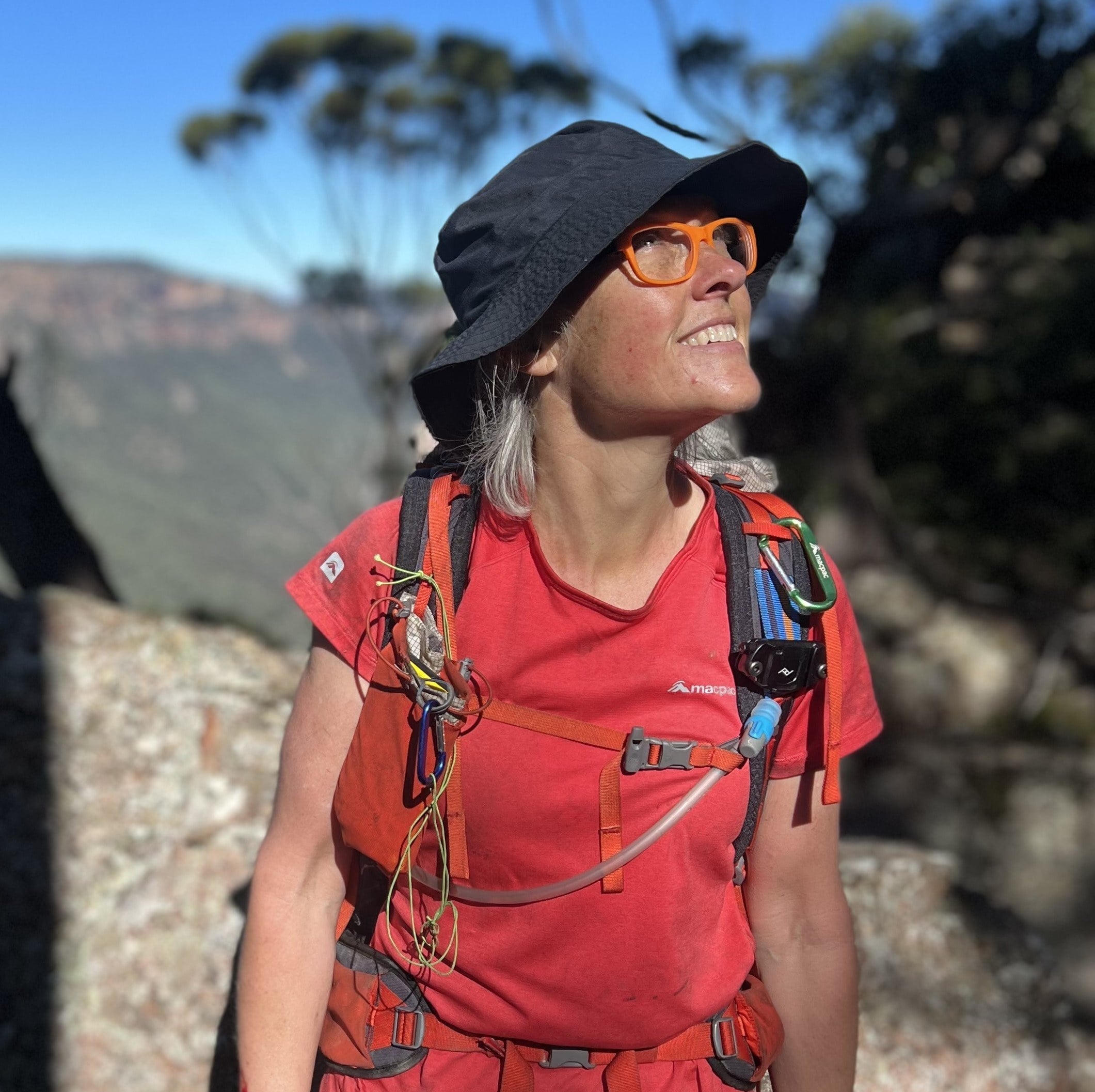 My favourite walks: Wollemi