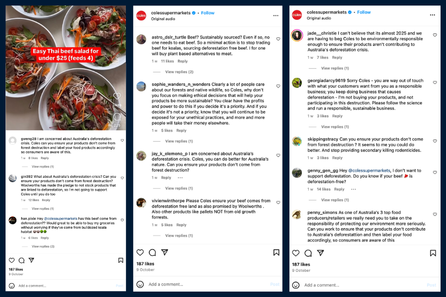 Wilderness Society supporters posted over 150 comments on Coles Instagram feed - asking for a commitment to go deforestation-free.