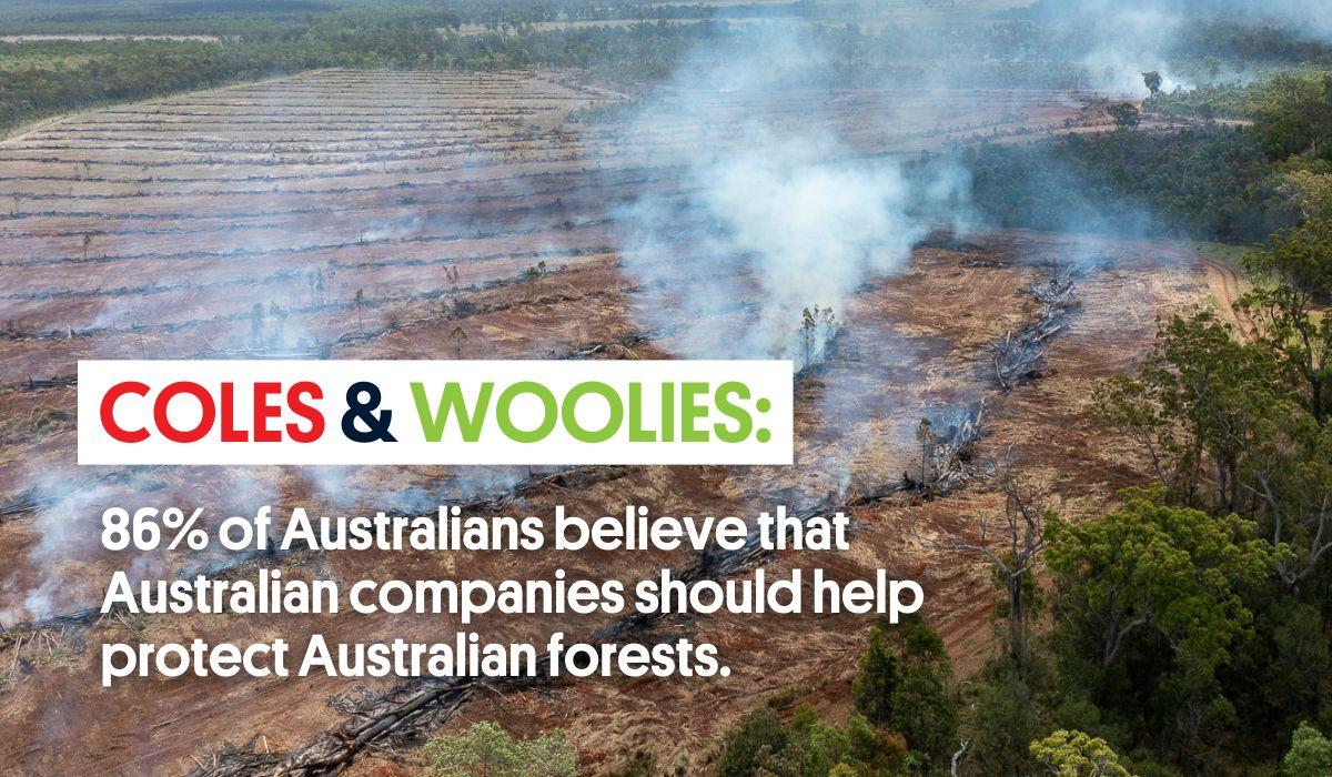 Coles Woolworths AGM Deforestation