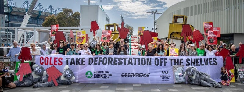 Protest at Coles AGM Nov 2024