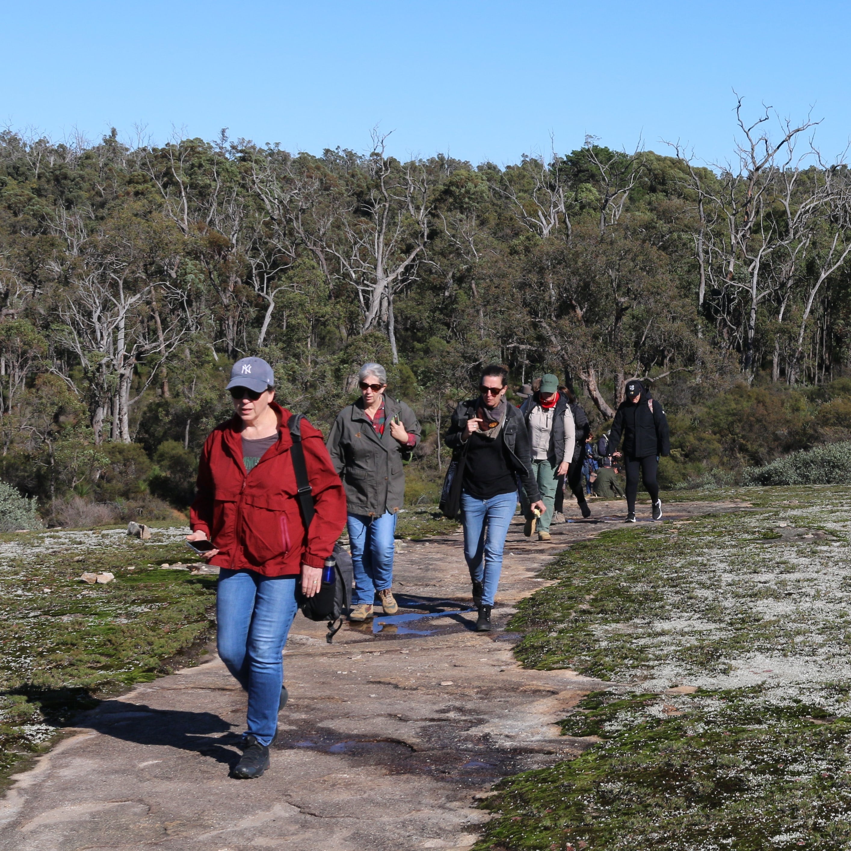 My favourite walks: Jarrah Forests