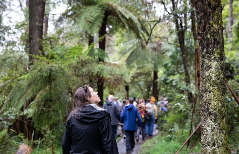 2024: Clearfell logging ends in Victoria
