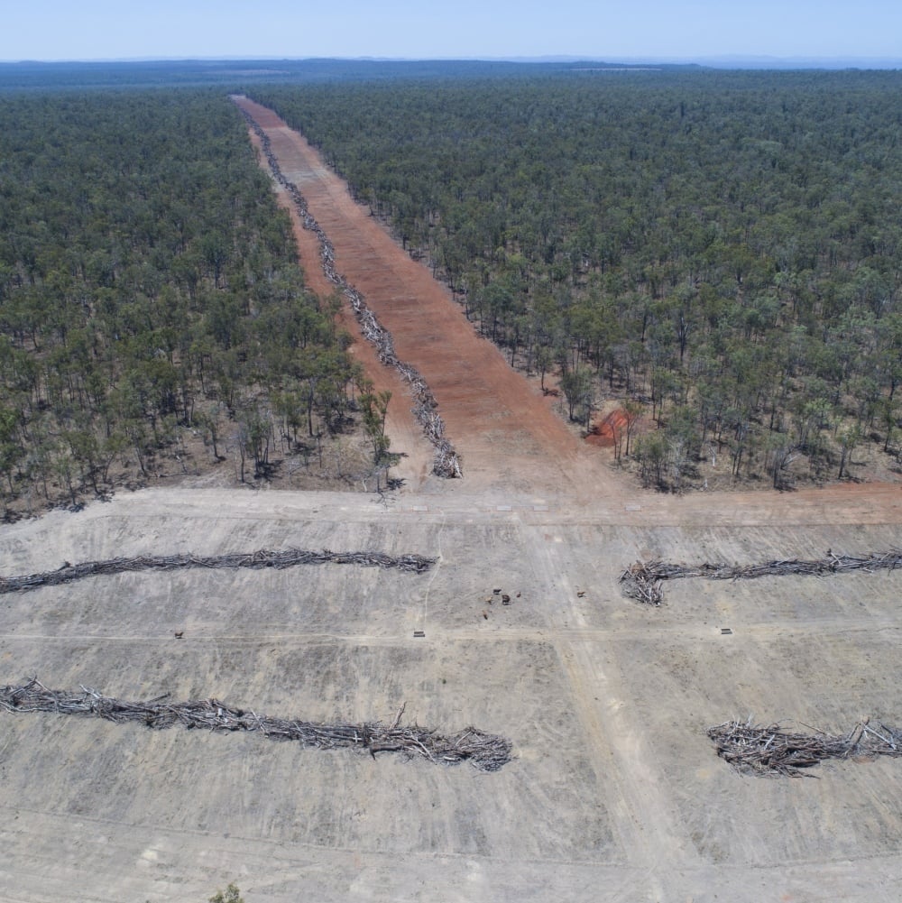 Deforestation: explained