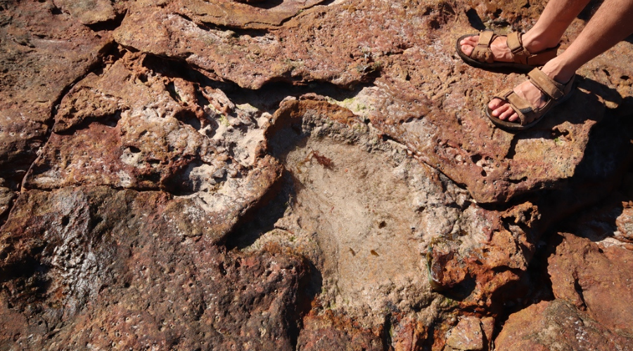 Dinosaurs footprint