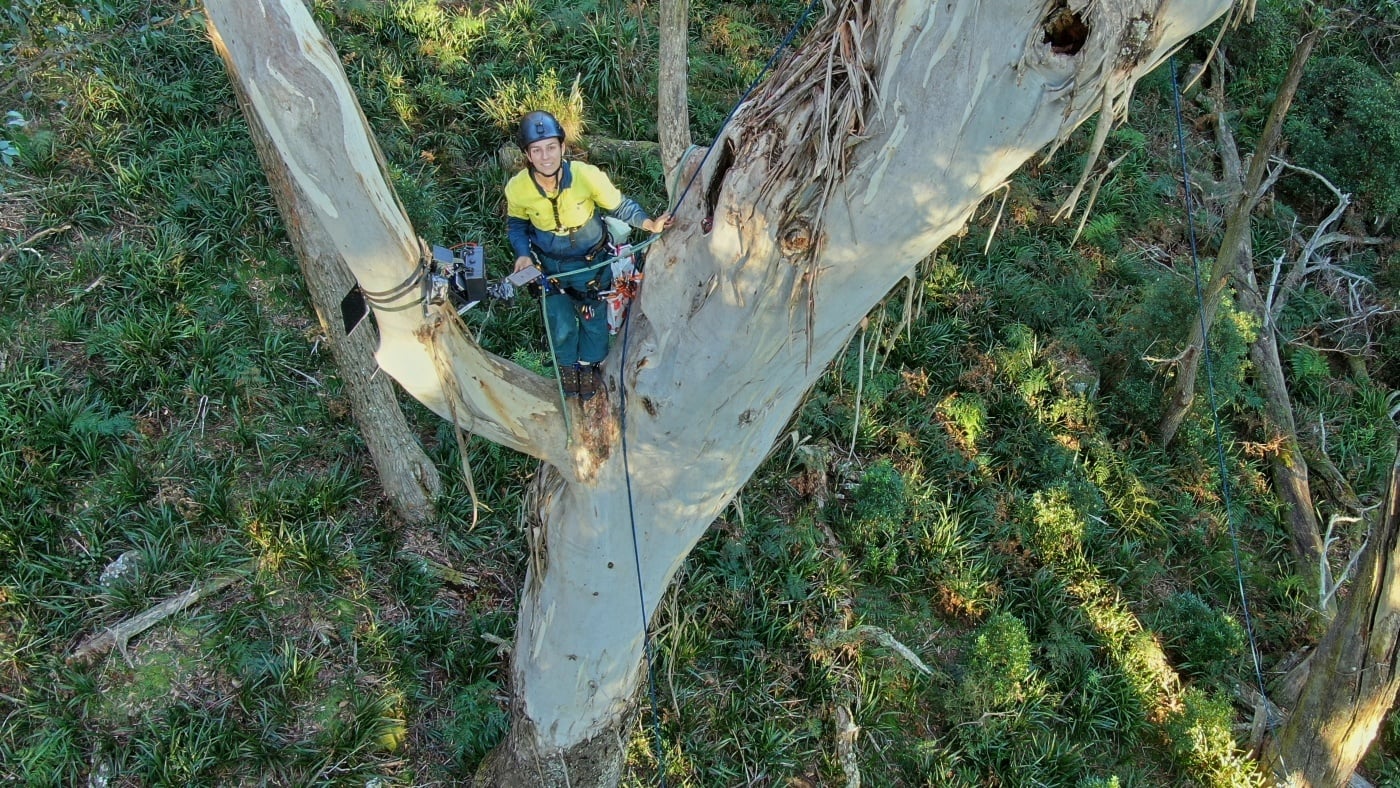 Dr. Ana Gracanin, conservation biologist: