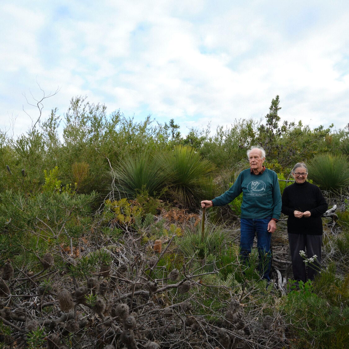 Wilderness Journal #042