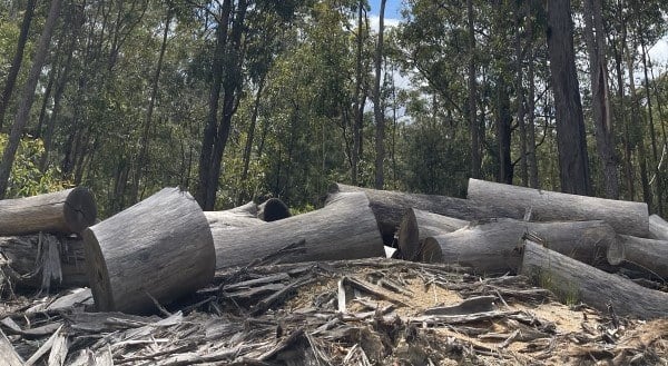 Nature under threat