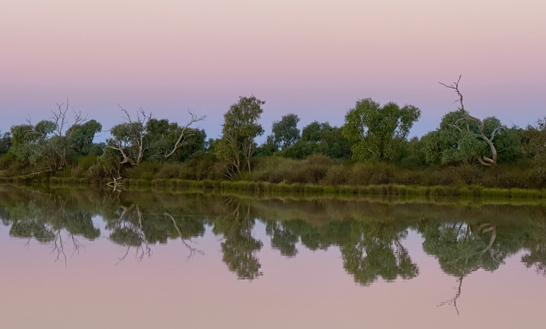 Coongie Lakes, Goyder Lagoon & Kallakoopah Creek