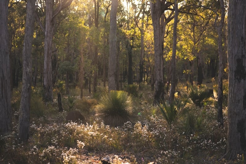 Remarkable places to protect