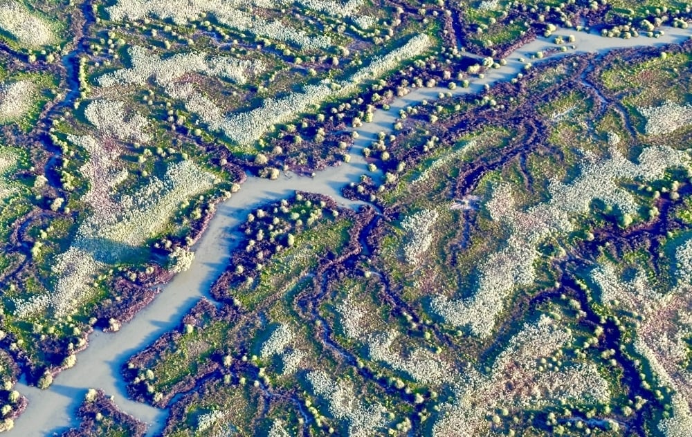 Lake Eyre Basin