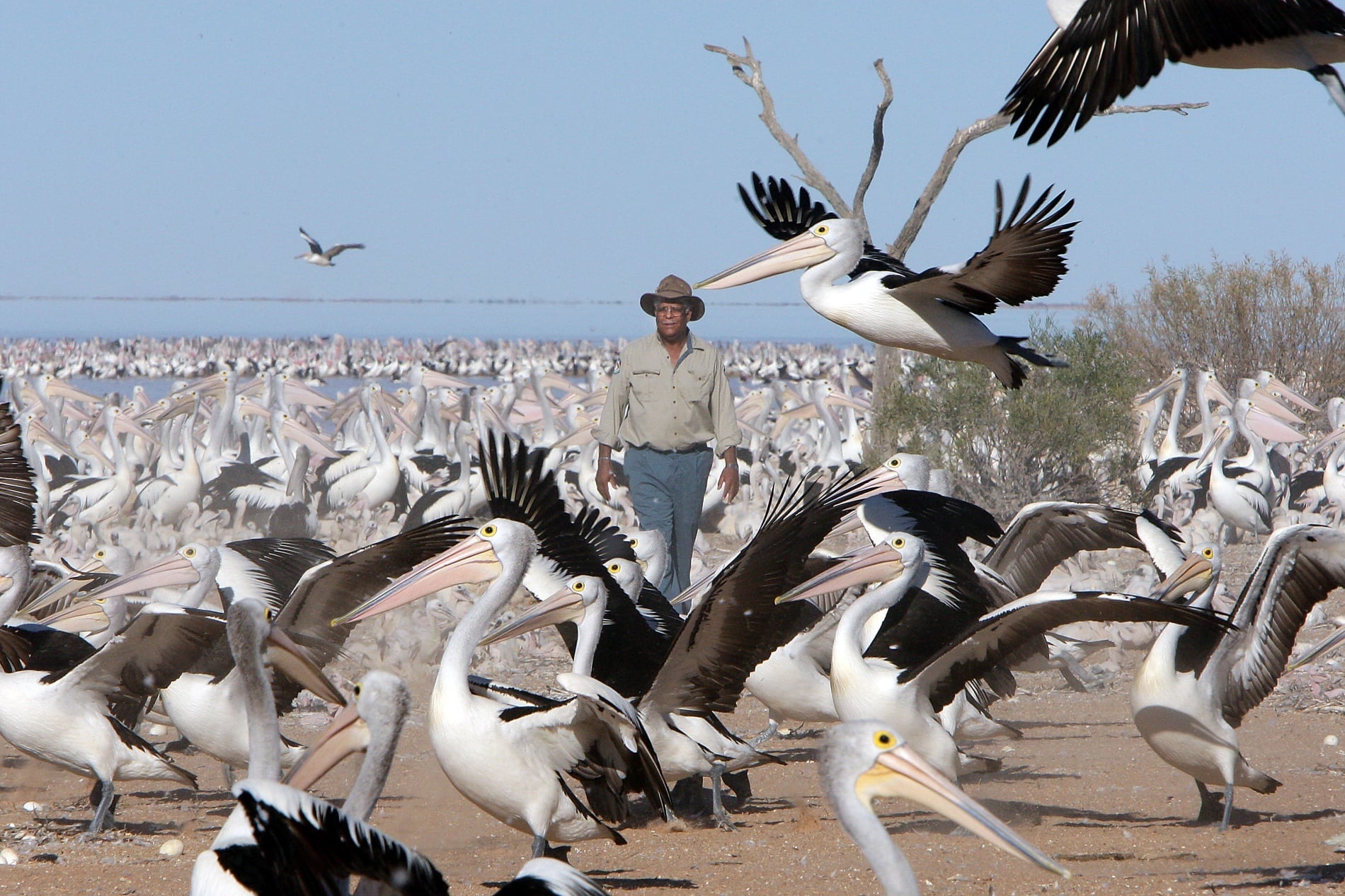 Lake Eyre Basin