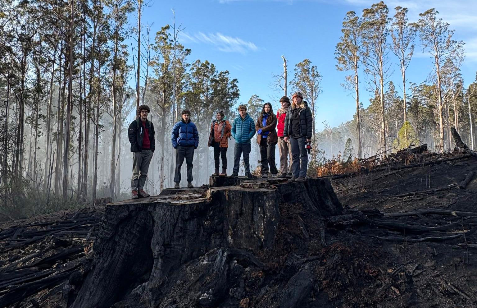 Hey Bunnings: stop selling out Australia’s special forests!