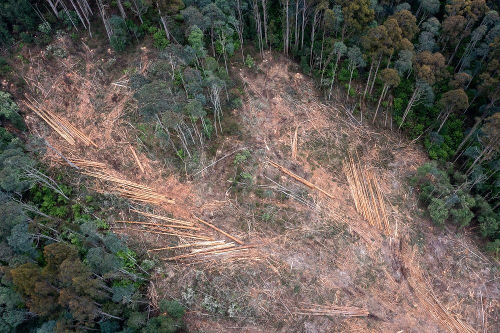 Scenes of devastation